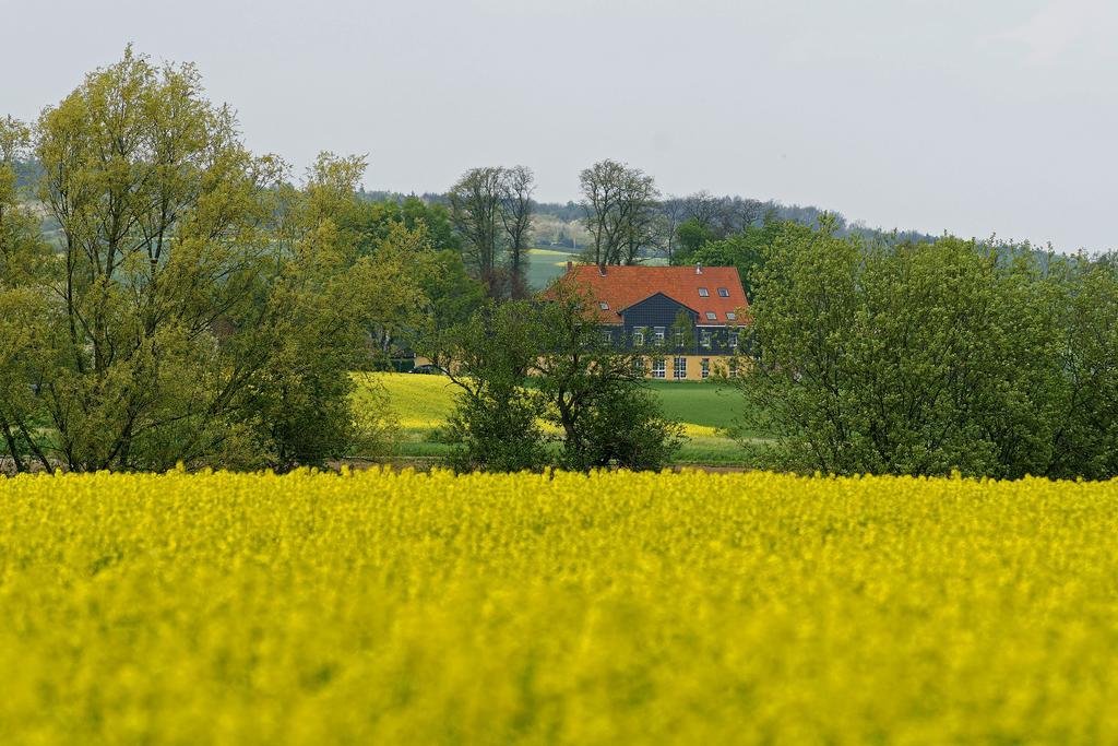 Landhaus Heidekrug هيلدسهايم المظهر الخارجي الصورة